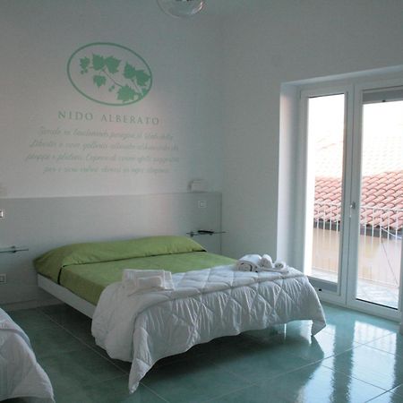 Praja Vecchia Bed and Breakfast Praia a Mare Buitenkant foto
